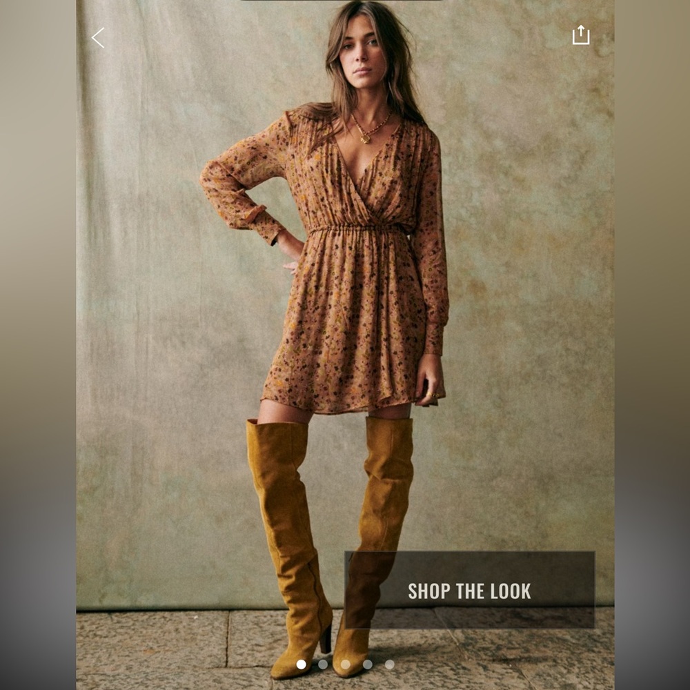 Sezane Dress